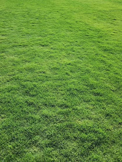 A vast, uninterrupted expanse of our vibrant green turf, showcasing the flawless finish our product can achieve.