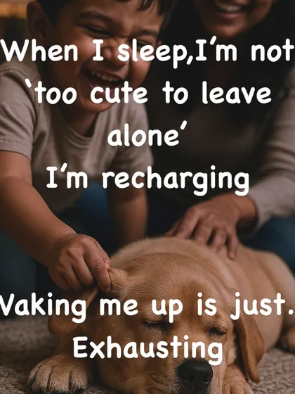 Sleep is just as important for me as it is for you. Waking me up from a nap, even if I look cute, disrupts my rest and can make me grumpy. Please let a sleeping dog lie so I can recharge for our next adventure together.