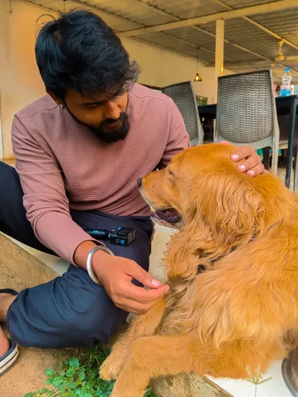 Making friends with our gentle giant, Charlie. Our in-house dogs are always ready for a gentle pat and a quiet moment with our guests.