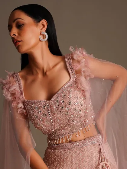 A close-up of the stunning blouse that comes with my light pink net lehenga. The feather details and intricate embroidery make it a true statement piece.