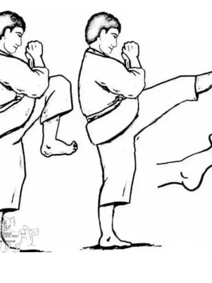 An illustration of the Mae Geri, or front kick. This is one of the first and most effective kicks taught in karate, used for both offense and defense.