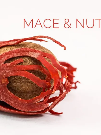 The vibrant red of mace enveloping the nutmeg seed. Understanding how spices grow helps in understanding how to use them.