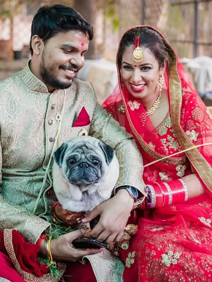 A happy family portrait, including their beloved pug. The couple and their dog sit on a swing, creating a warm and personal wedding day memory.