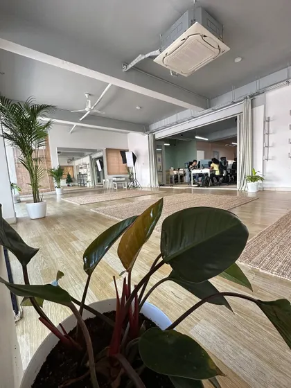 A view across the open-plan office and yoga studio at Indpro, showing how we integrated various plants to define spaces and improve the overall atmosphere. The Philodendron in the foreground adds a pop of rich color.