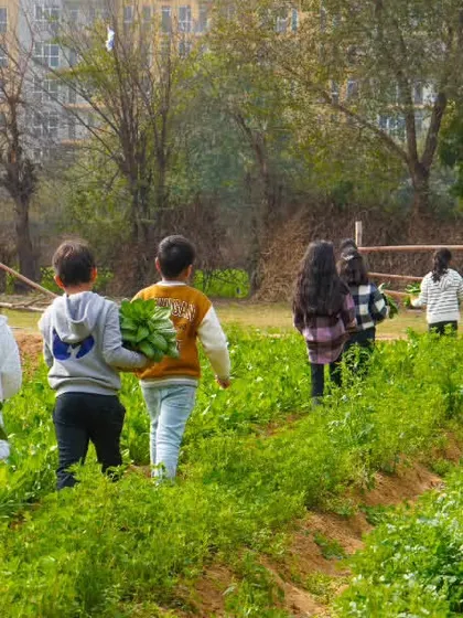 A group of children walks through the fields, baskets in hand, on a mission to find the best vegetables. This is learning and adventure rolled into one.