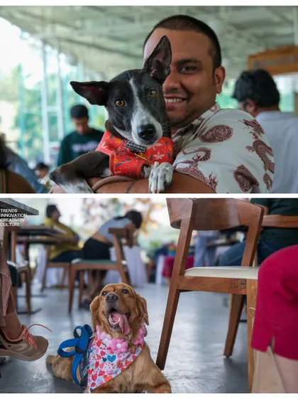 Candid shots of people interacting with dogs at an event, highlighting the instant connection and happiness pets bring.