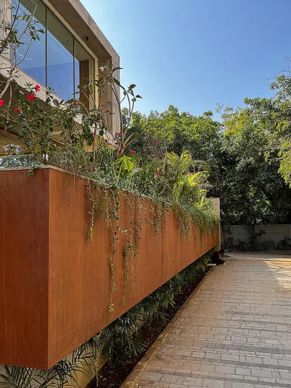 A detail of the planter box at the House of Terraces, finished in a corten steel look. The falling veils of green soften the modern architectural lines, demonstrating how I use planting design to add texture and life to a structure.