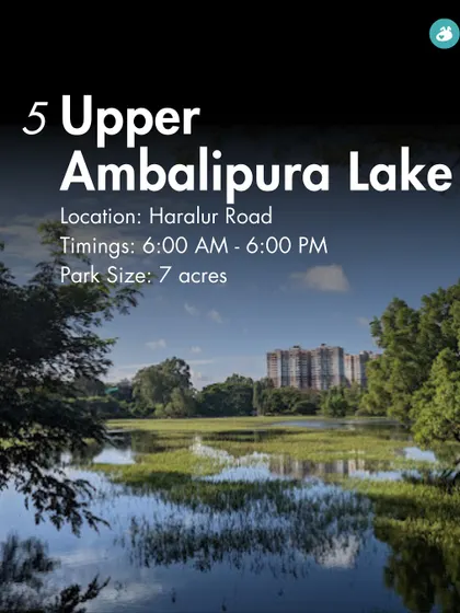 Upper Ambalipura Lake on Haralur Road is a 7-acre park that provides a serene escape from the city's hustle and bustle.