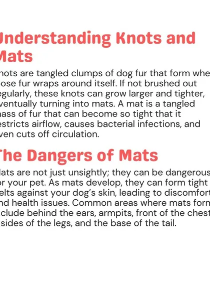 Knots are tangled clumps of fur that can tighten into mats, which are dangerous for your pet. These tight pelts can restrict airflow, cause bacterial infections, and even cut off circulation.