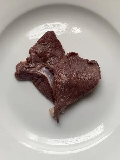 This is emu meat. It's a game-changer for dogs with severe allergies, pancreatitis, or other sensitivities. When standard proteins don't work, I find solutions. This is a key part of my novel protein diet plans.