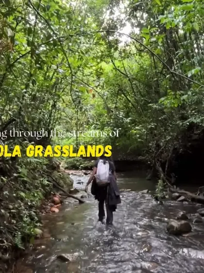 Walking through the cool, clear streams of the Shola grasslands is a unique and refreshing part of the Kudremukha trek.