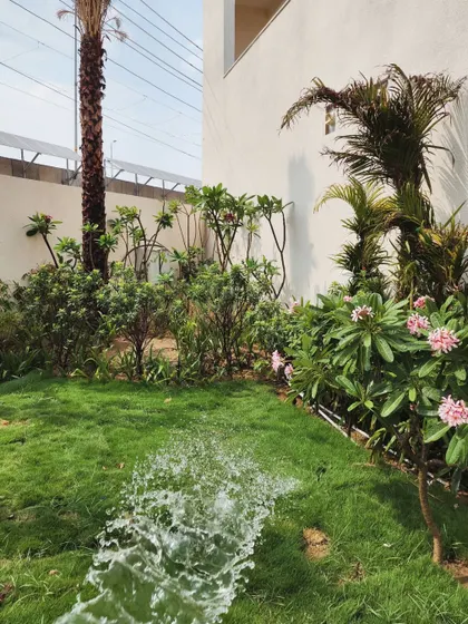 Our maintenance service includes ensuring proper irrigation for all plants. Here, a newly installed lawn and tropical plants at Yellow Tree are being watered to establish strong roots.