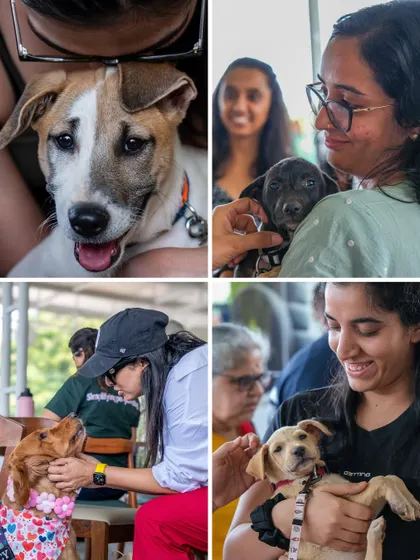 A collection of happy faces, both human and canine, from a community adoption event. It’s all about the love.