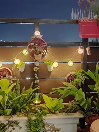 A fond memory from a client's home. The combination of fairy lights, hanging planters, and lush ferns creates such a cozy and enchanting atmosphere on this balcony.