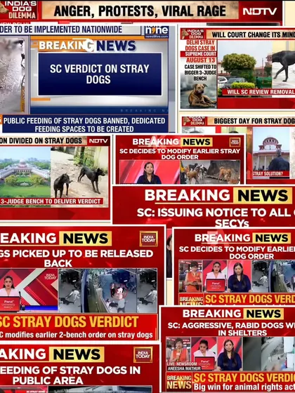This collage of news headlines shows the chaos and confusion caused by the Supreme Court's verdict. We got a version of justice, but the fight is far from over. The system is broken.