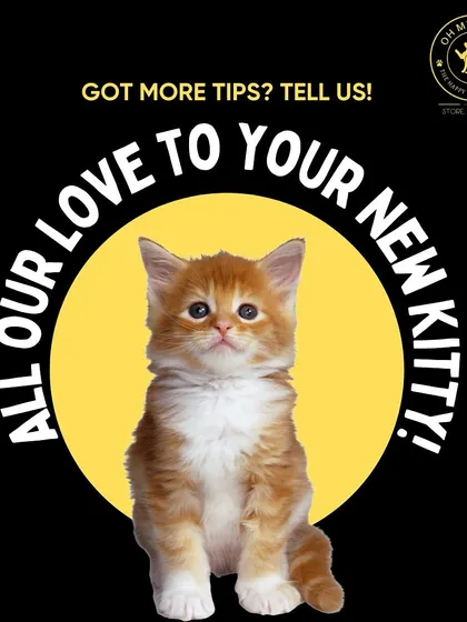 Being a new cat parent is a wonderful experience. I'm always here to help with more tips and product recommendations.
