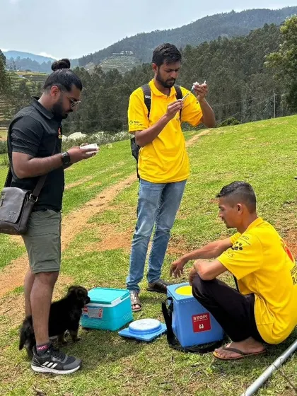 Our team preparing vaccines during the mass vaccination drive. Collaborating on public health programs is a key part of our long-term strategy for animal welfare.