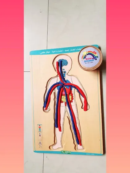 Using a wooden puzzle and play dough to learn about the human circulatory system. This multi-sensory approach helps make complex biology concepts like arteries and veins accessible and memorable for young children.