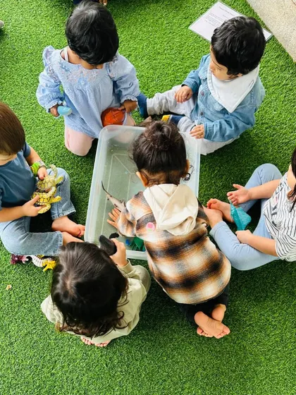 Our toddlers engage in a sensory counting activity, using a tub of toys to practice counting and sorting on the grass.