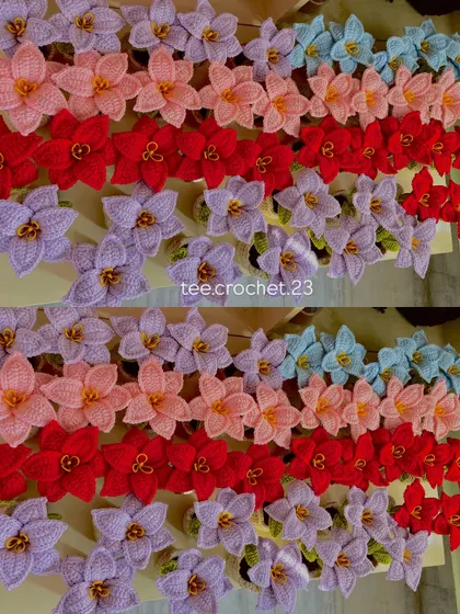 Rows of colorful potted crochet lilies, perfect for adding a pop of color to any retail display.