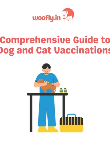 This guide to dog and cat vaccinations is a starting point for understanding your pet's needs. During a home visit, I can create a personalized vaccination plan tailored to your pet's age, lifestyle, and health.