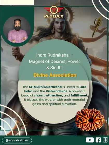The 13-Mukhi Rudraksha is a magnet for desires, power, and siddhi (spiritual powers). Associated with Lord Indra, it is a powerful bead for fulfilling ambitions and enhancing personal charm and attraction.