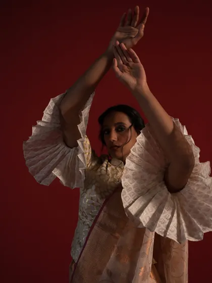 A close-up shot highlighting the sculptural, pleated sleeves of a contemporary blouse. This detail-oriented image shows how I focus on unique design elements to create a memorable and high-fashion look.