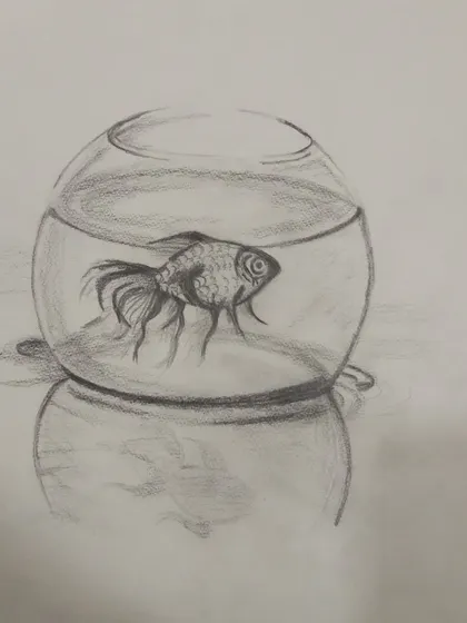 This drawing of a fish in a bowl is a great lesson in sketching glass, water, and reflections.