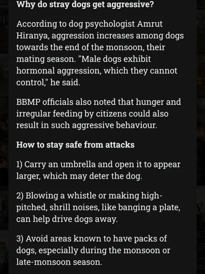 A news clipping where I explain the science behind stray dog aggression. Hormonal changes during mating season and hunger are often key factors, and there are ways for people to stay safe.