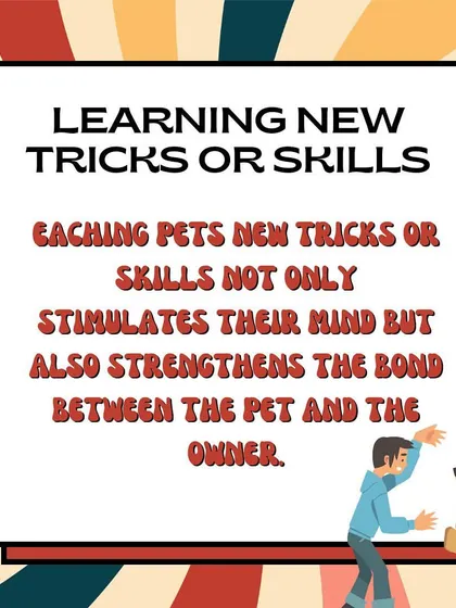 A great goal for any pet parent is to teach new tricks. This not only stimulates your pet's mind but also strengthens the special bond you share.