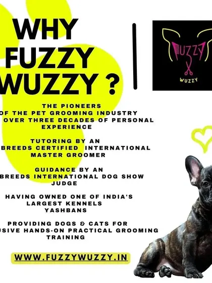Why choose Fuzzy Wuzzy? With over three decades of family experience and tutoring from an internationally certified Master Groomer, I offer unparalleled expertise and a commitment to quality.