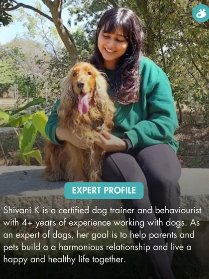 Meet Shivani, one of our expert dog trainers and behaviorists. With over four years of experience, she specializes in helping parents build a harmonious relationship with their dogs, focusing on practical and positive solutions.