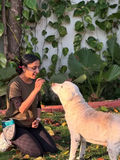 Senior dogs hold a special place in our hearts. Here I am with Stark, an 11-year-old Lab who needed extra love and attention. We offer specialized senior dog boarding, complete with medication management and gentle care, ensuring their golden years are comfortable and happy.