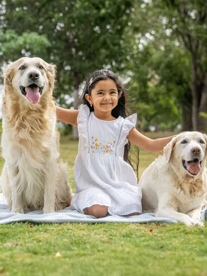 A beautiful family portrait with senior dog Ice and her brother Gundu. The love that surrounds them is truly heartwarming.