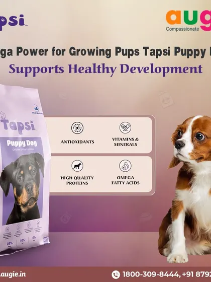 Tapsi Puppy Food provides the omega power growing pups need. It's packed with high-quality proteins, antioxidants, and essential vitamins and minerals to support healthy development from the very beginning.