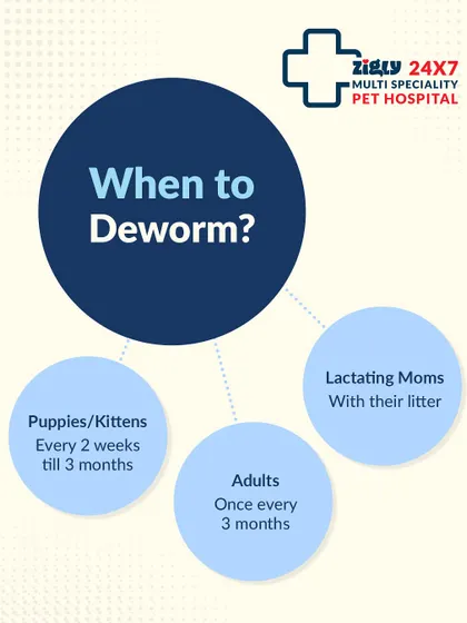 When should you deworm your pet? This infographic provides a clear, vet-approved schedule for puppies, kittens, and adult pets. Following this routine is crucial for their long-term health.