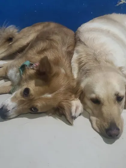 Two friends resting their heads together. These quiet moments of connection are so precious.