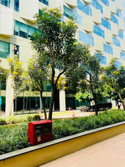 Planting flowering trees like the Tabebuia adds seasonal beauty to the landscape of this commercial property.