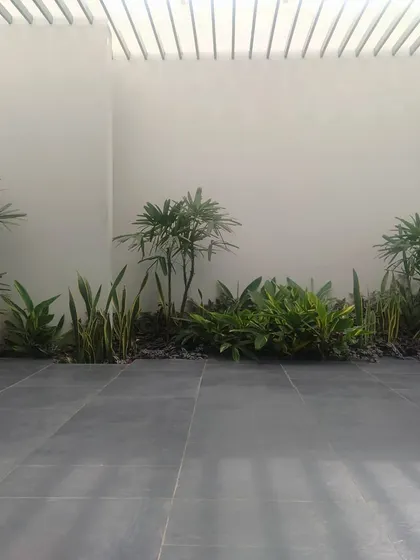 A minimalist courtyard where plants emerge directly from the tiled floor. This detail illustrates my goal of blurring the lines between interior and exterior, making the garden an integral part of the living space.