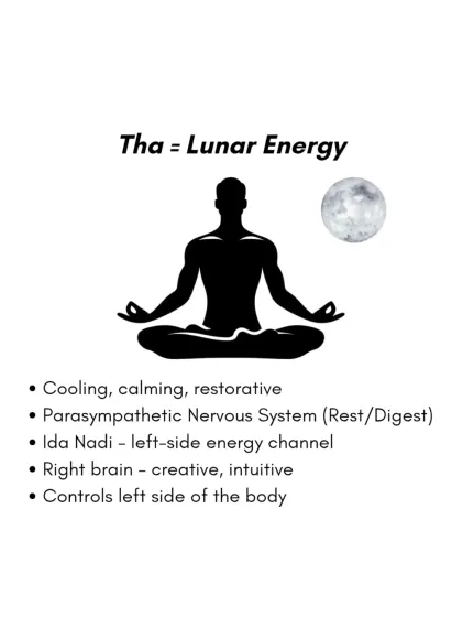 "Tha" represents our lunar energy. It is cooling, calming, and restorative, linked to the parasympathetic nervous system (rest and digest), the right brain, and the Ida Nadi.