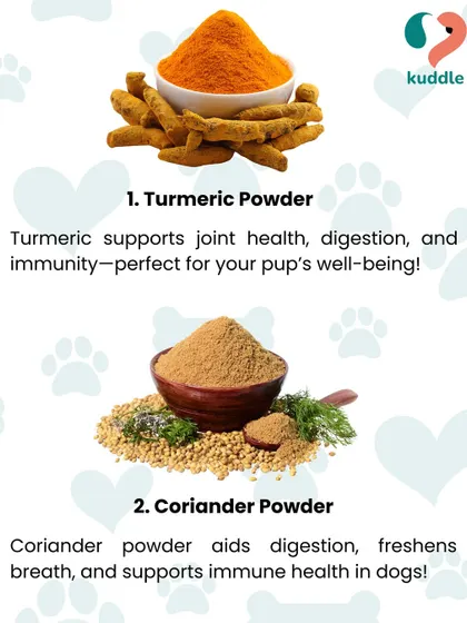 A pinch of turmeric can support joint health and digestion, while a little coriander powder can aid immunity. This graphic shows two simple, kitchen-friendly additions to make food more appealing.