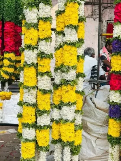 This is a selection of my fresh flower garlands, featuring bright yellow and white chrysanthemums. These are perfect for adding a traditional and vibrant touch to any wedding or festive celebration.