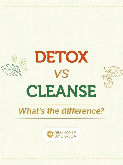 It is important to understand the difference between a detox and a cleanse. This graphic introduces the topic to help you make an informed decision about what your body needs.