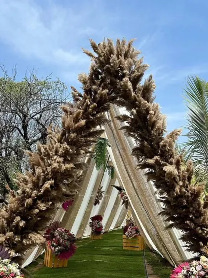 A unique triangular entrance arch made entirely of pampas grass. This creates a dramatic and stylish entryway for a modern, bohemian-themed wedding event.