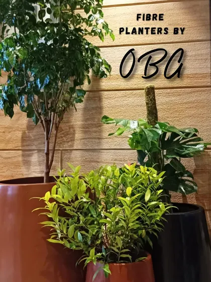 A beautiful arrangement of our customized fibre pots in shades of brown and black. We worked with Vaishvi Interior to select planters that complement the warm, wooden tones of the space.
