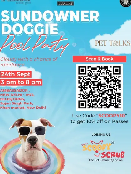 We partnered with this Sundowner Doggie Pool Party in New Delhi, offering pet parents a last chance for a seasonal splash with their furry companions.