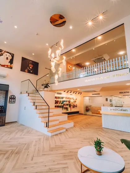 Welcome to our world. We designed our physical space to be a complete ecosystem for pet wellness, combining retail, a holistic spa, and a vet clinic under one roof. It's a calm, beautiful, and welcoming environment for you and your pet.