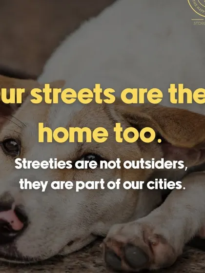 Our streets are their home too. This post was part of our campaign to raise awareness about the threat to community dogs. They are not outsiders, they are part of our cities.