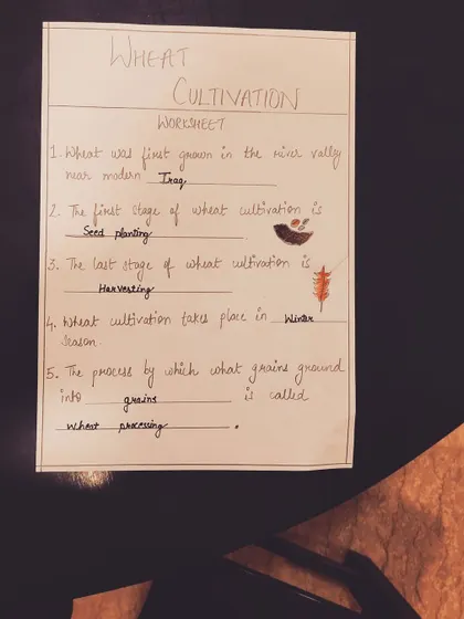 A fill-in-the-blanks worksheet about wheat cultivation. These exercises help check for understanding and improve writing skills.
