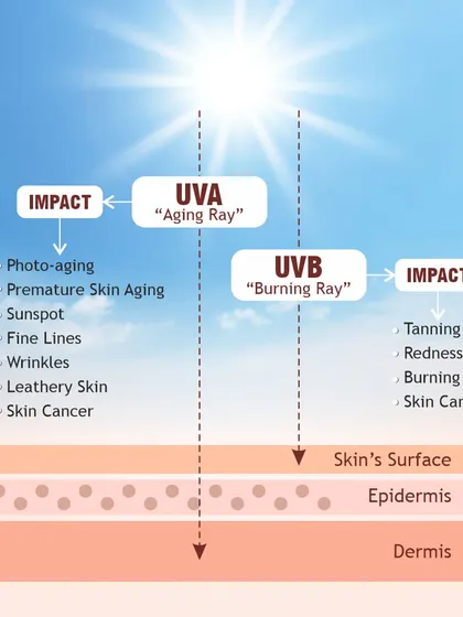 This diagram shows the impact of UVA and UVB rays. UVA penetrates deeper into the dermis causing photo-aging, while UVB primarily affects the skin's surface, causing tanning and burning.